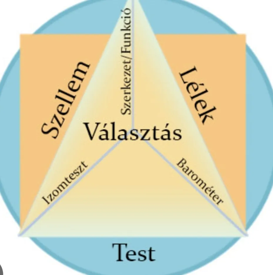 Izomtesztelés közben — kézzel végzett vizsgálat